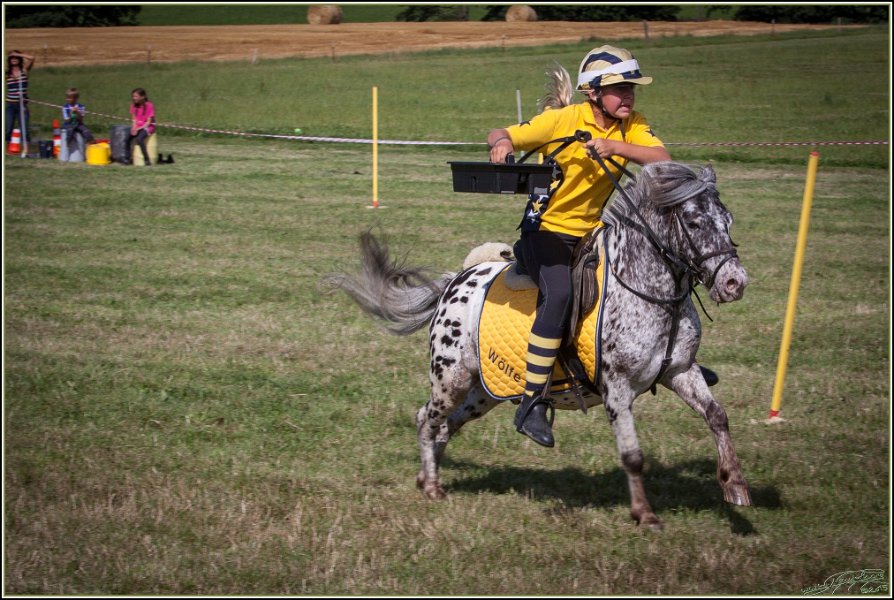 Mounted Games 312
